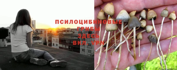 мескалин Алексин