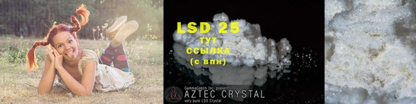 крисы Алзамай