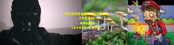 твердый Порхов