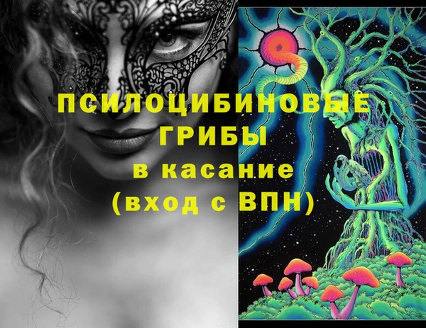 ПСИЛОЦИБИНОВЫЕ ГРИБЫ Алексеевка