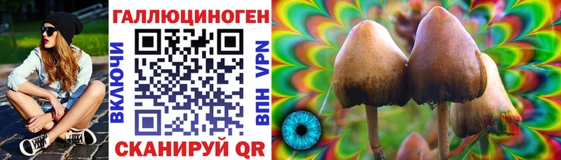 купить наркоту  Поронайск  Галлюциногенные грибы прущие грибы 